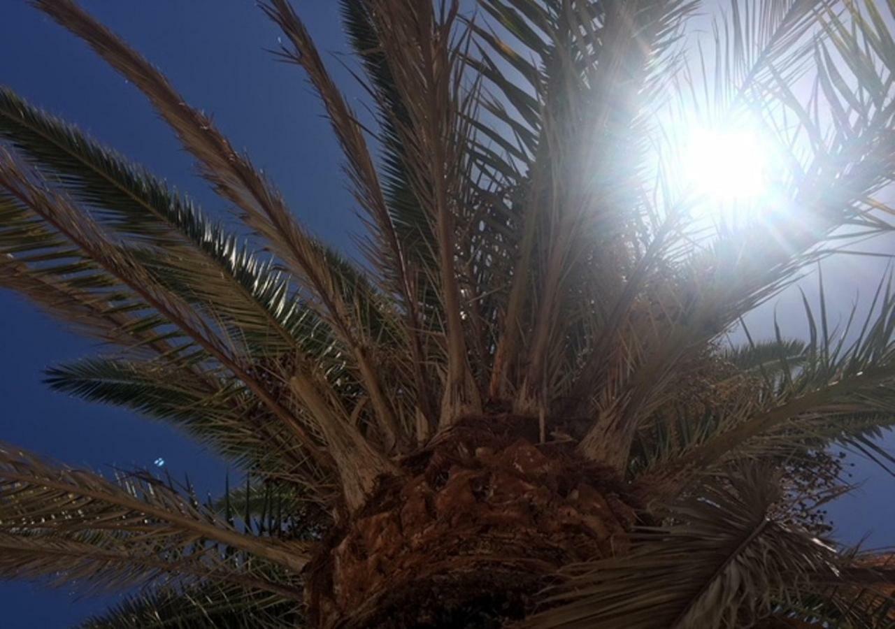 La Gema del Sur Maspalomas (Gran Canaria) Exterior foto